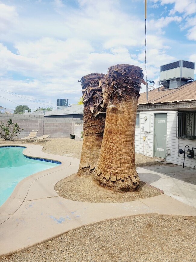 Building Photo - HOME WITH SPARKLING POOL! NO HOA!