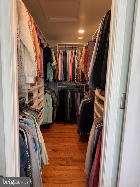 Building Photo - 8002 Middlebury Dr