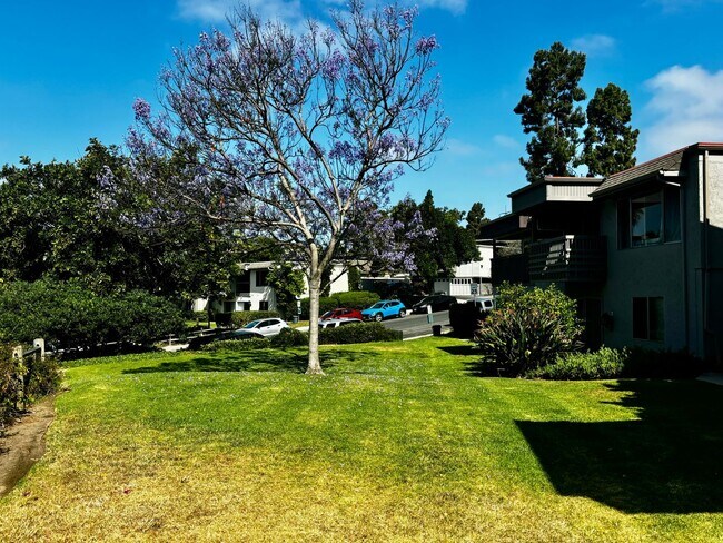 Building Photo - Remodeled 3 bed 2 bath townhome in Friars ...