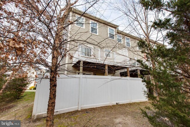 Building Photo - 1919 Beckman Ter