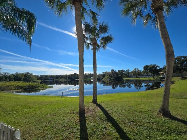 Building Photo - 2-Bedroom, 2-Bathroom Condo in Land O' Lakes