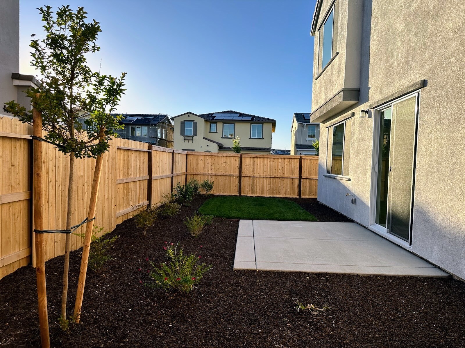 Backyard - 3475 Williamson Dr