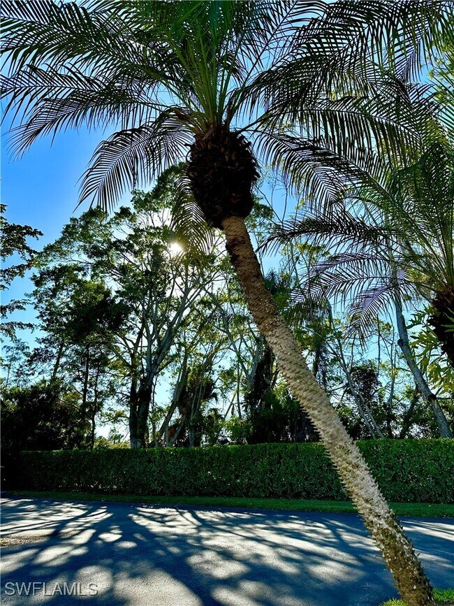 Building Photo - 9828 Luna Cir