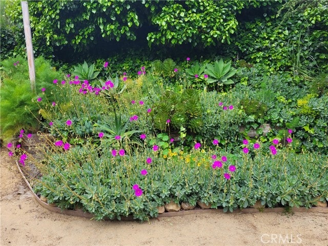 Building Photo - 925 Poli St