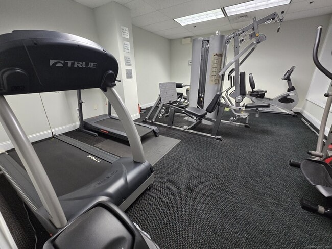 Building Photo - 19 Isaacs St