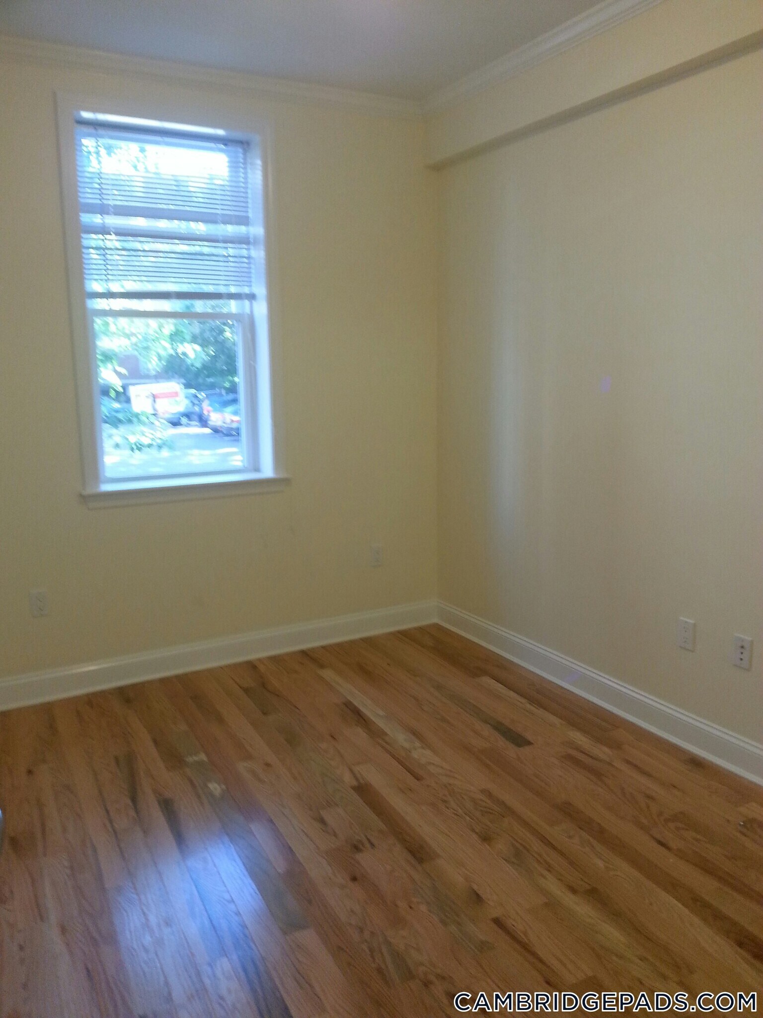 Building Photo - 3 Chauncy St