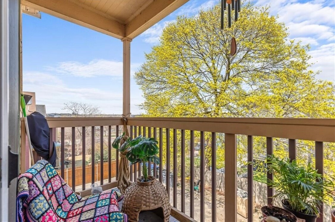 Back porch - 42 Cypress St
