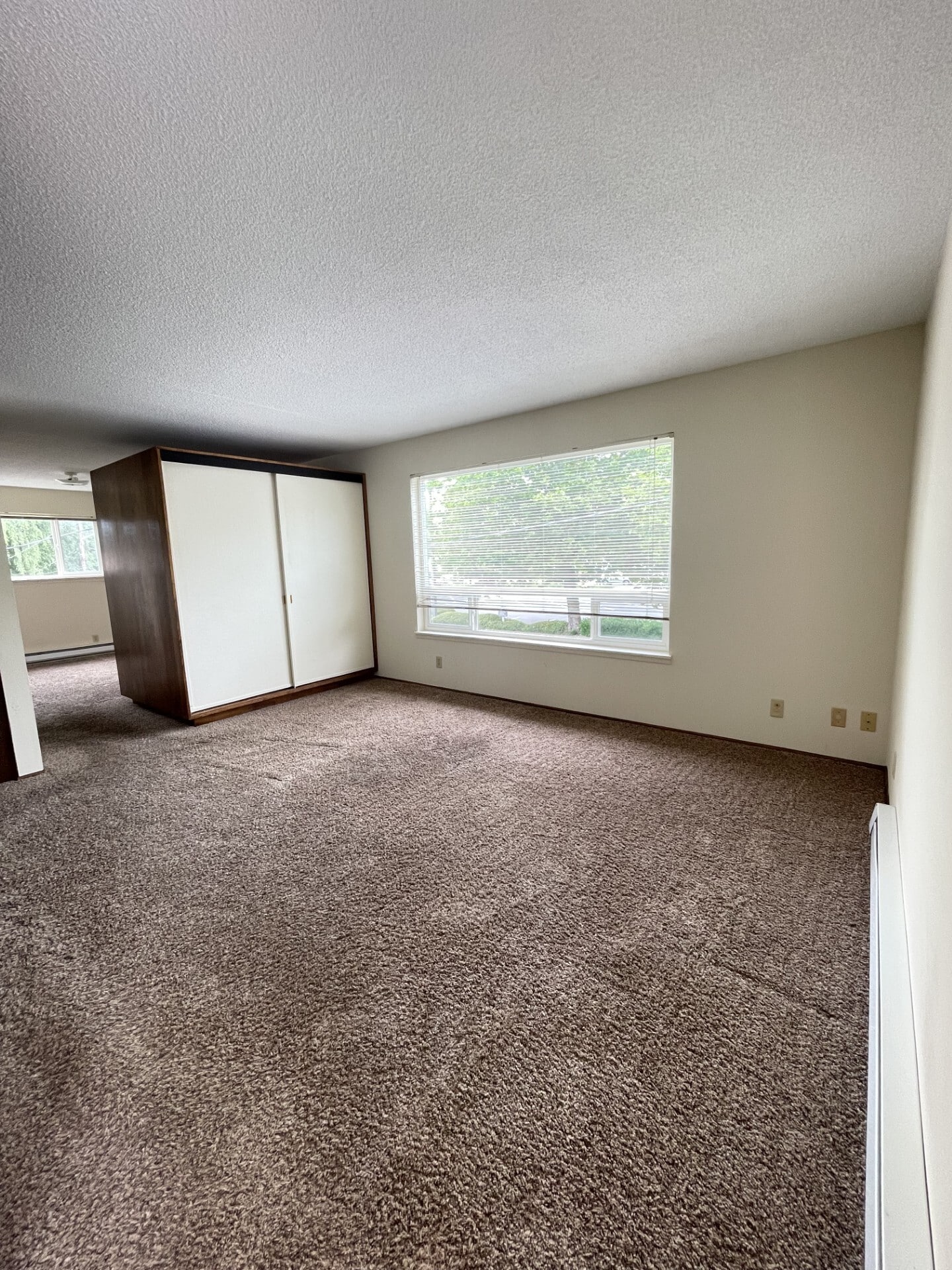 Living RM - 530 Burnett Ave N
