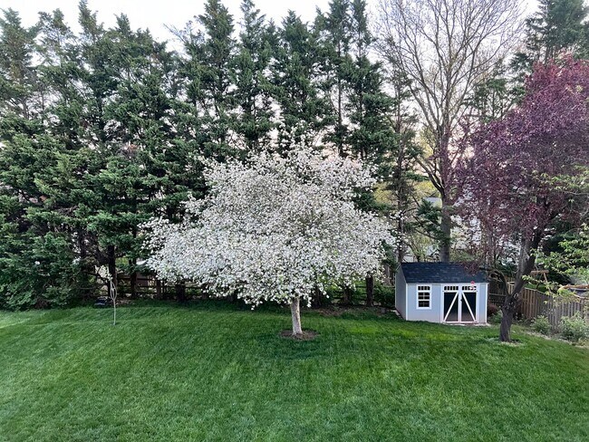 Building Photo - Gorgeous 5 Bed 3.5 Bath Single Family Home...