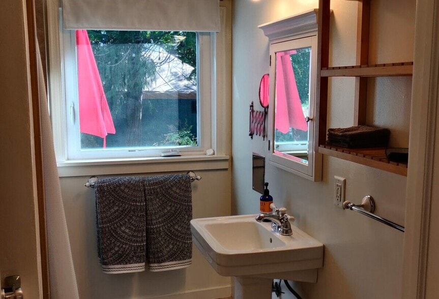 Sink and Cabinet - 165 Terrace St