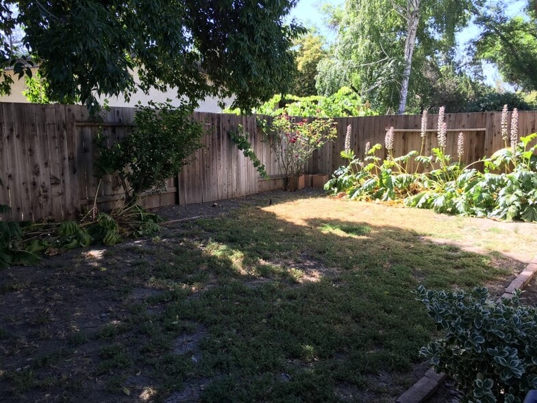 Backyard, weekly landscape included - 2106 Del Rey Ct