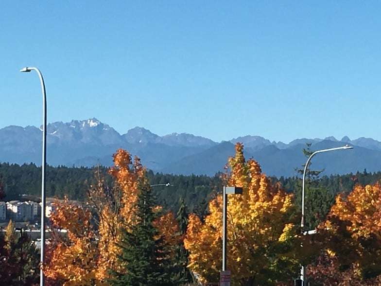 View - 9910 Trident Ln NW