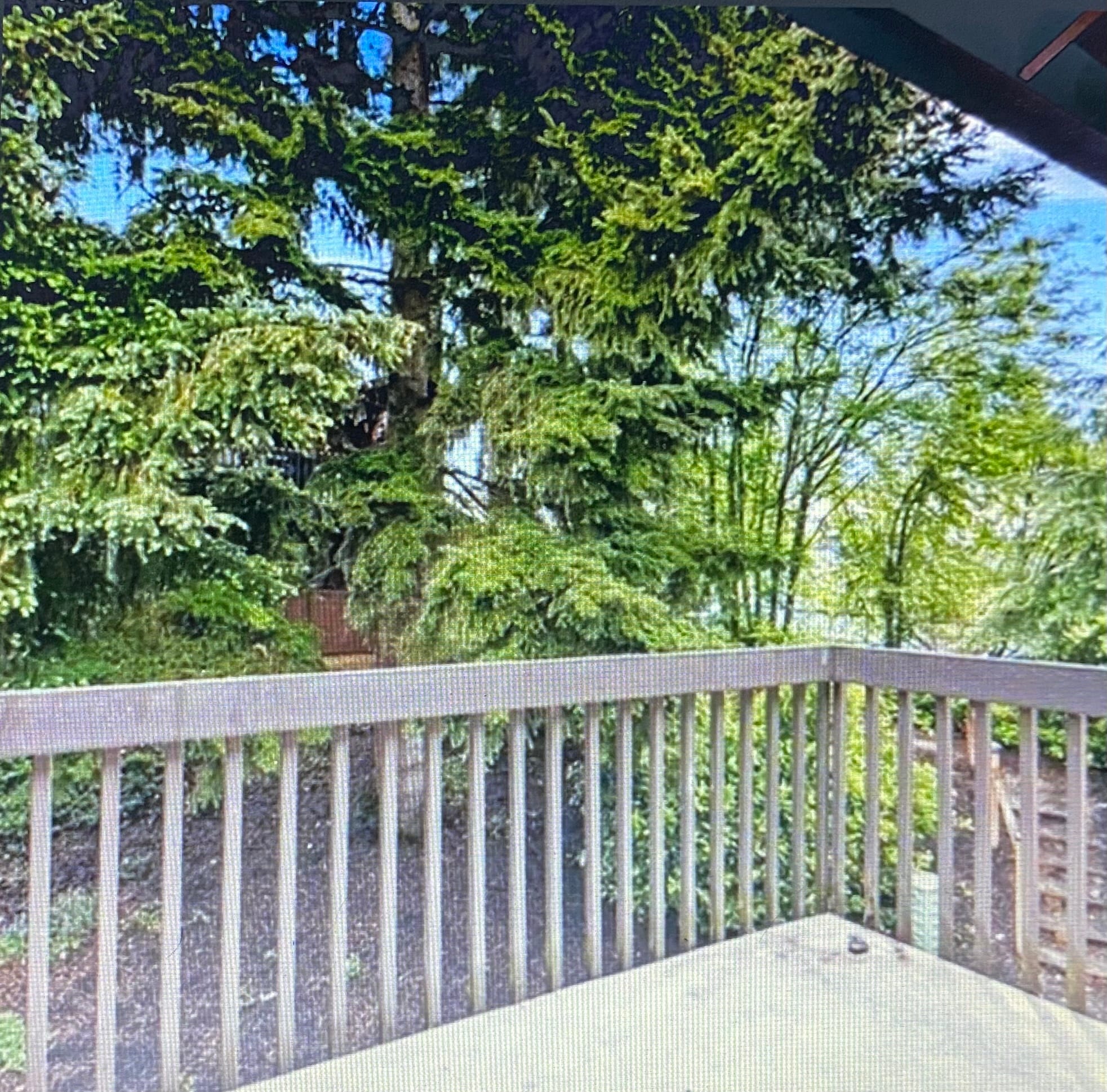 Building Photo - 15617 NE 18th St