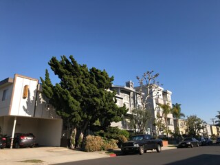 Building Photo - 1610 Barry Ave