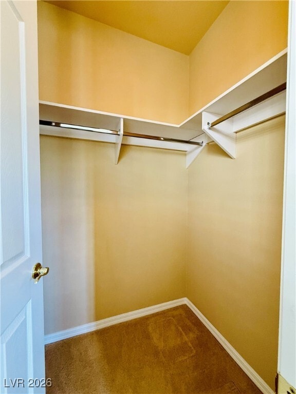 Building Photo - 3312 Saddle Soap Ct