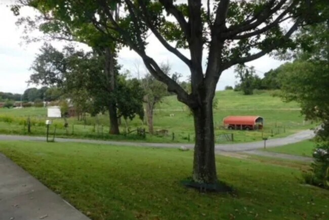 Building Photo - 3/1 bath - Town acres school district!- Showings to start 6/10