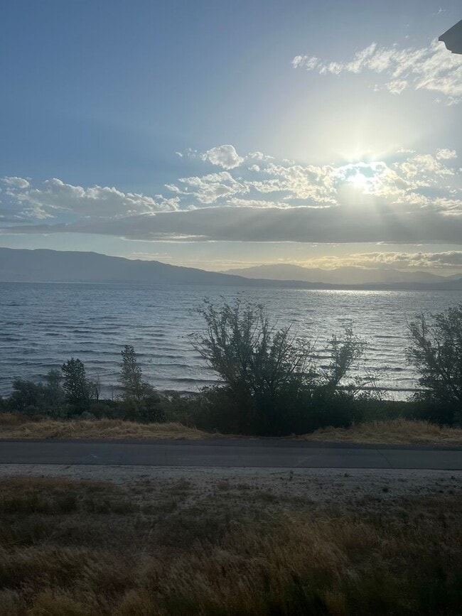 Building Photo - 3 Bedroom/2 Bathroom condo in Vineyard