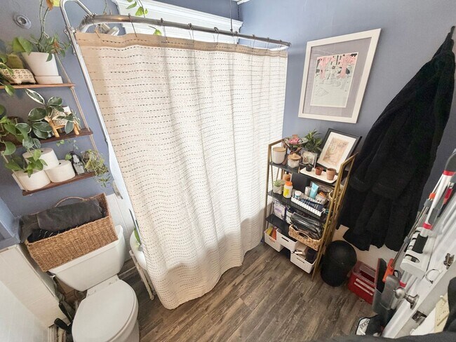 Building Photo - 1 Bedroom in Burlington VT Available 7/1!