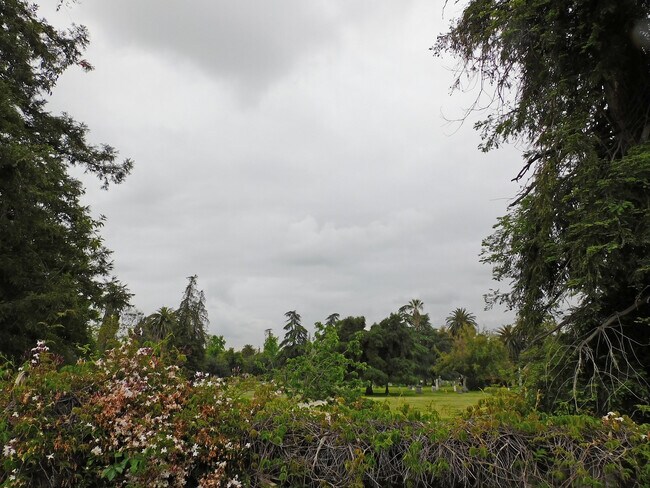 Building Photo - 56 La Venezia Ct