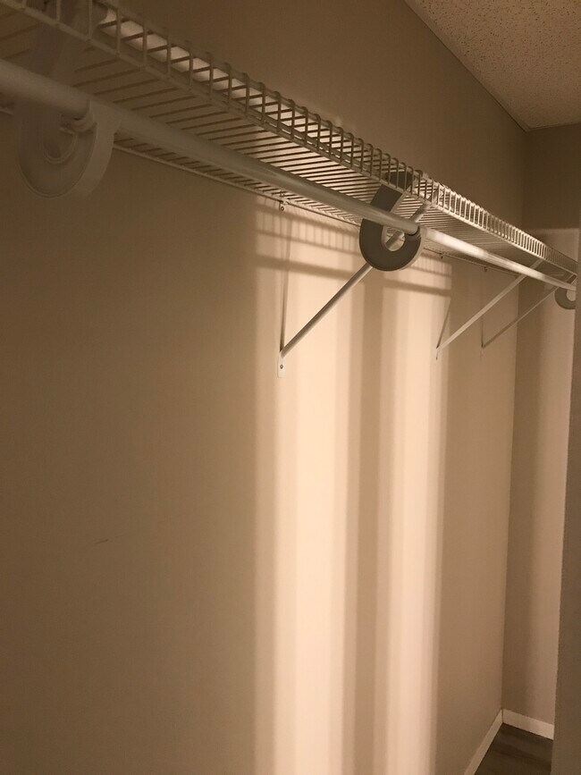 Bedroom One Inside Closet - 351 Chicago Rd