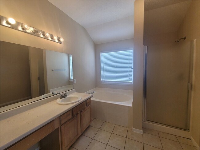Building Photo - 17211 Brookhollow Grove Ct