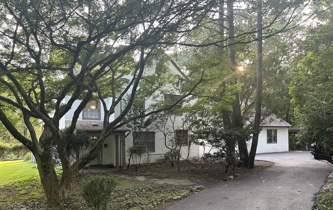 Primary Photo - 134 Yew Rd
