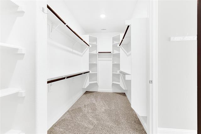 Building Photo - 4308 Cheetah Trail