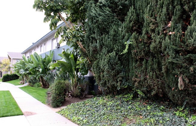 Building Photo - Fern Grove Apartments