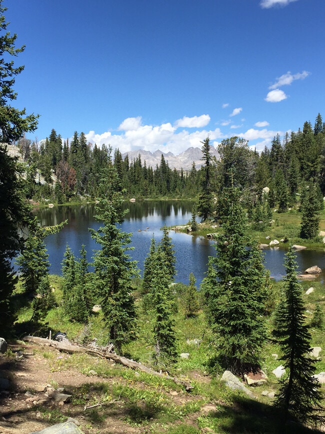 Building Photo - 133 S Fremont Ave