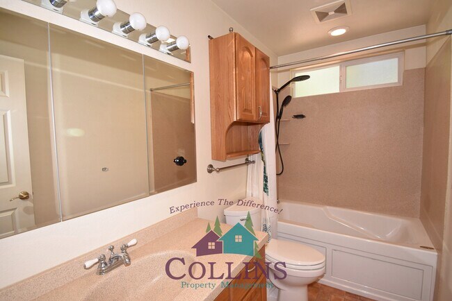 Building Photo - 12437 Silk Tassle Cir