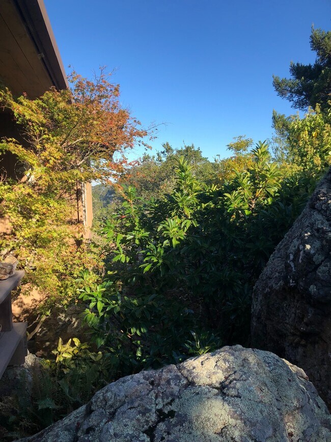 Building Photo - Lovely 3/2 home in the hills of El Cerrito with breathtaking views of the bay!