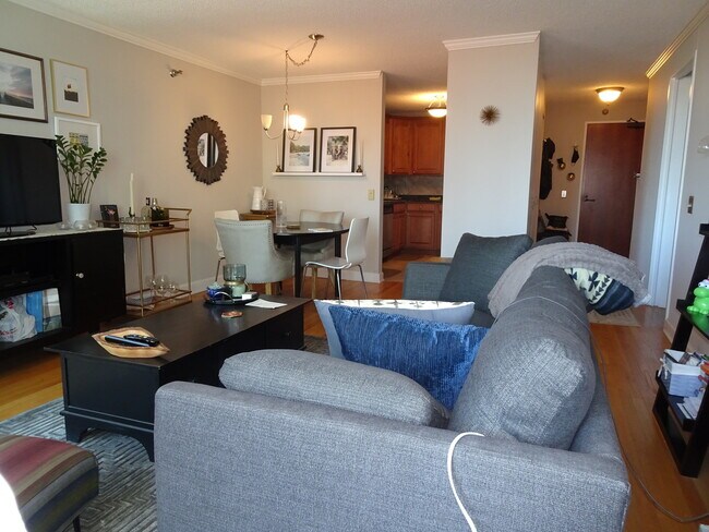 Building Photo - 480 N McClurg Ct