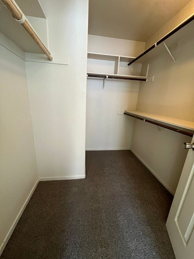 Building Photo - Large 5 Bedroom Home in Mace Ranch