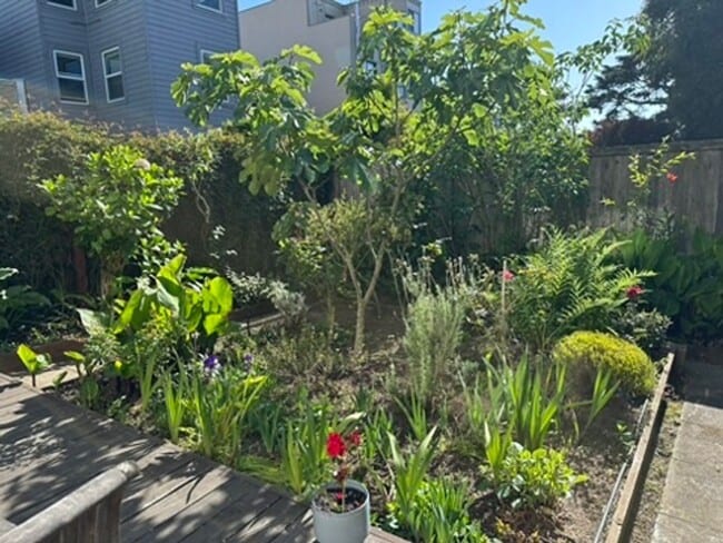 Building Photo - Epic REA- Serene 2 BR/1 BA Flat w/Private Deck & Yard in Lone Mountain