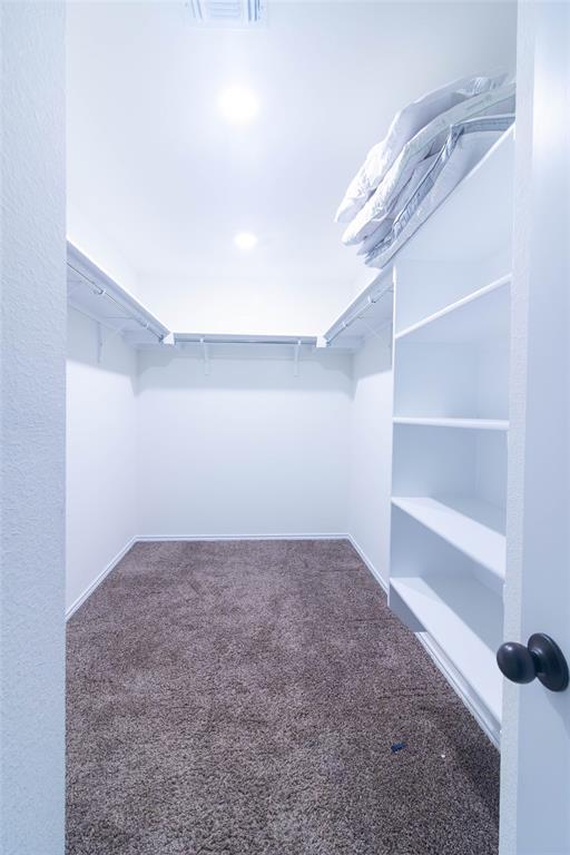 Building Photo - 1131 Aronia Ln