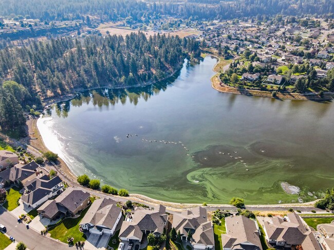 Building Photo - Dream Home At Shelley Lake