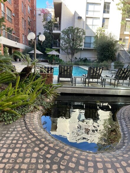 Pool and pond - 1440 Veteran Ave