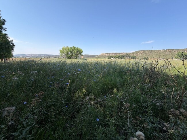 Building Photo - 277 Animas River Rd