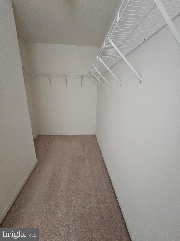 Building Photo - 830 Woodline Dr