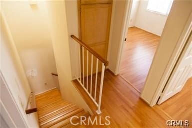 Building Photo - 49 N Parkwood Ave