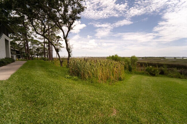 Building Photo - Comfortable Condo Living in St. Augustine Shores