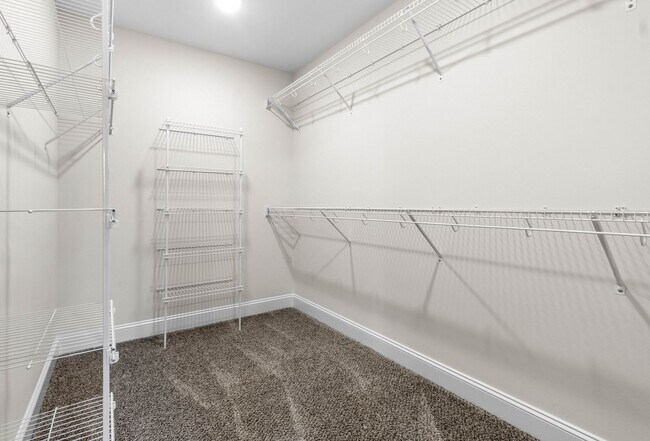 Building Photo - 2628 Rafiki Dr