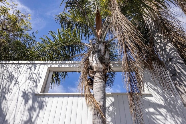 Building Photo - The Costa Beach Bungalow - Entire guesthouse in Malibu, California, United States