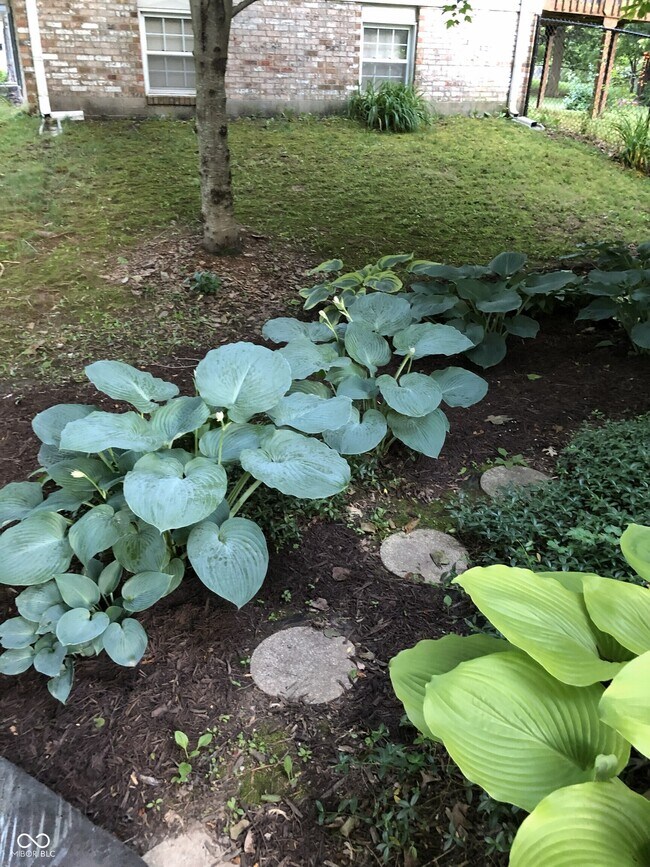 Building Photo - 7620 Snowflake Dr