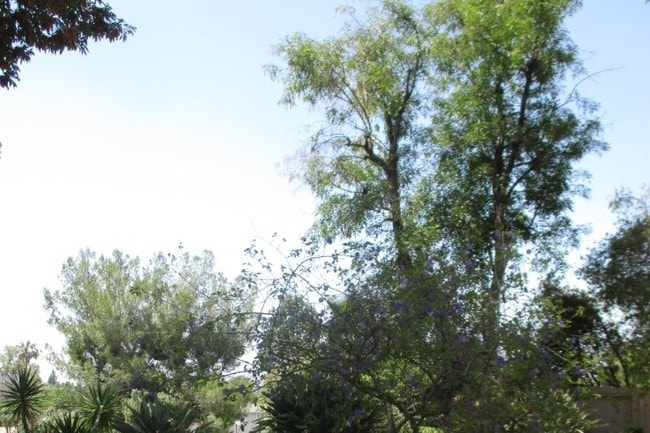 Building Photo - 18216 Index St