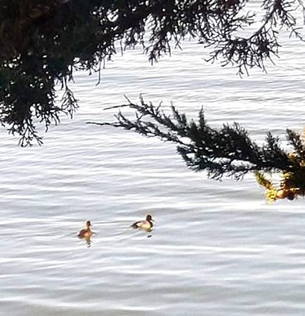 Building Photo - 5 Admiral Dr