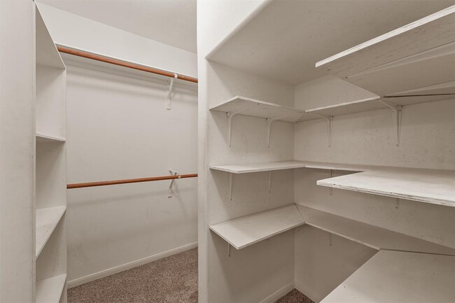 Building Photo - 8342 Loetsch Ridge Way