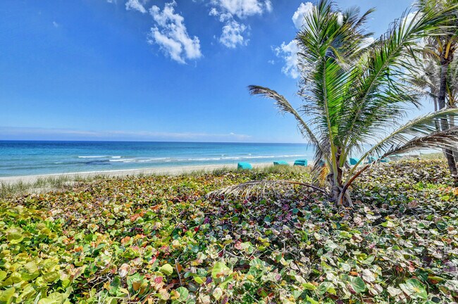 Building Photo - 2909 S Ocean Blvd