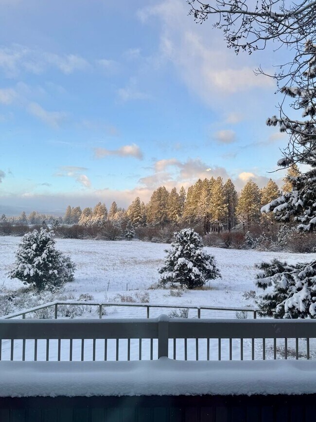 Building Photo - HUGE Custom-Designed Dream Home bordering ...