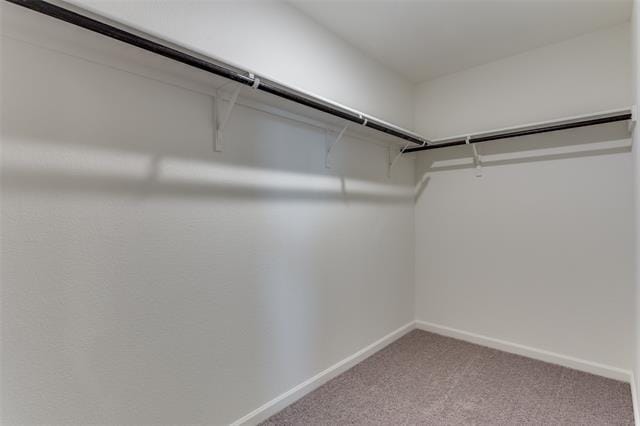 Building Photo - 10361 Burnfoot Ln